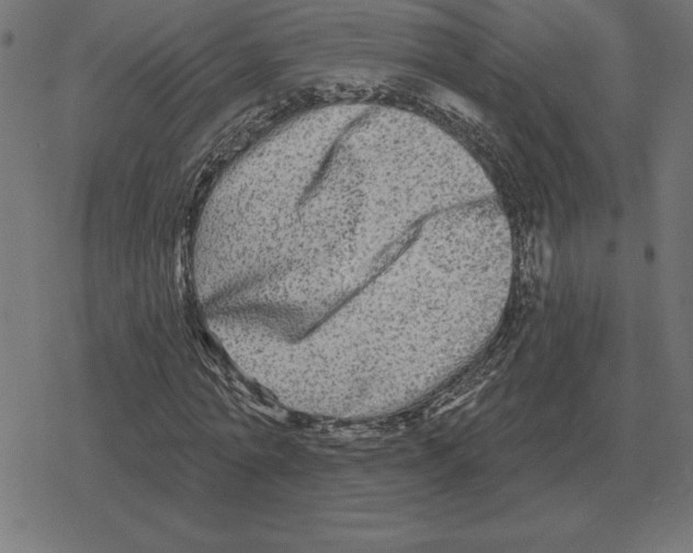 X0000078290774200612011808