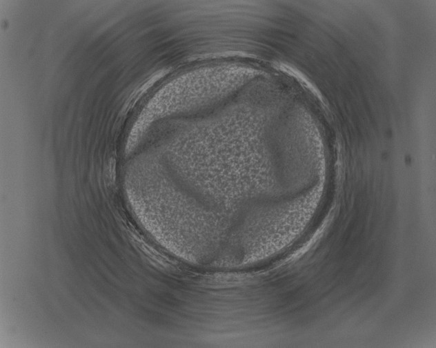 X0000078290777200612011808