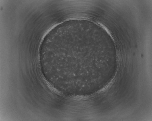 X0000078290779200612011808