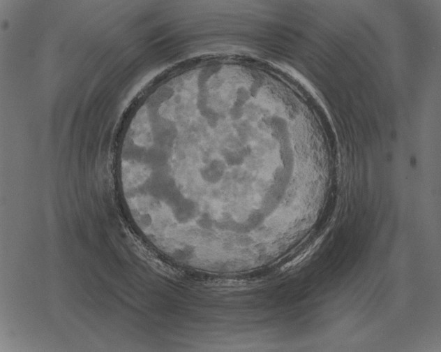 X0000078290783200612011808