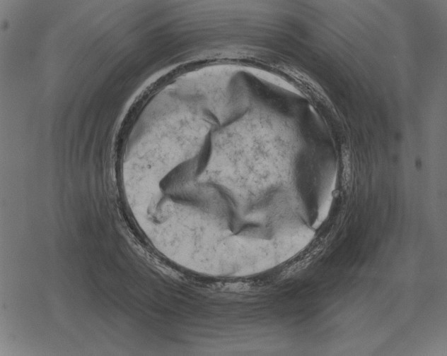 X0000078290784200612011808