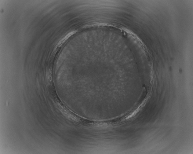 X0000078290785200612011808