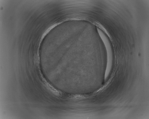 X0000078290787200612011808