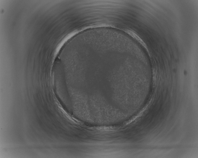 X0000078290789200612011808