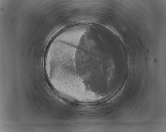 X0000078290790200612011808