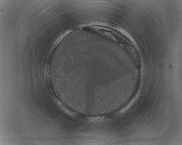 X0000078290793200612011808