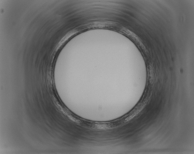 X0000078290794200612011808