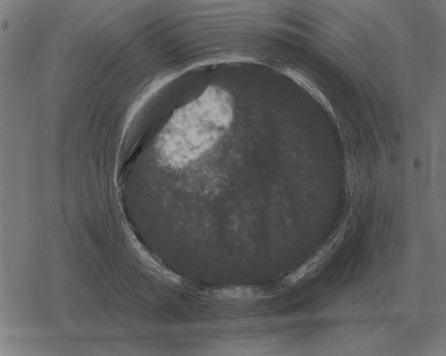 X0000078290797200612011808