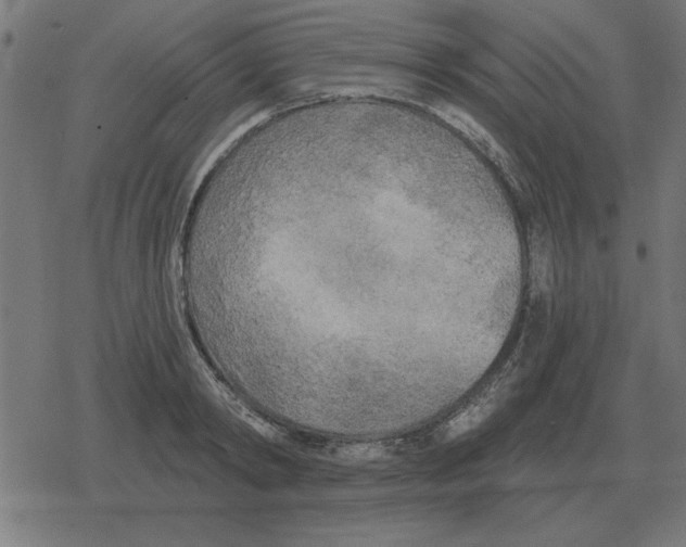 X0000078290798200612011808