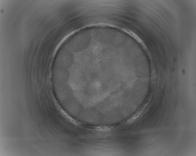 X0000078290799200612011808