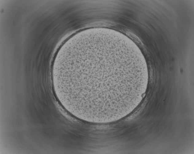 X0000078290800200612011808