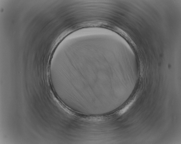 X0000078290802200612011808