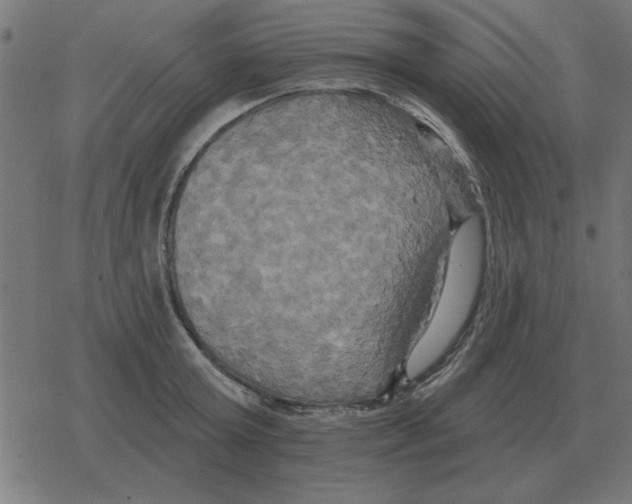 X0000078290803200612011808