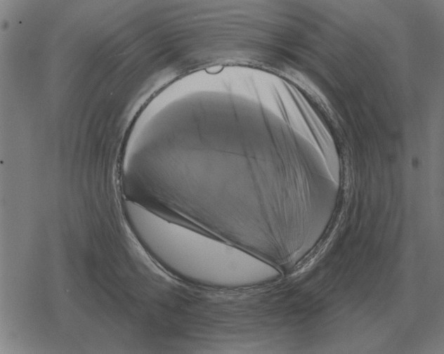 X0000078290806200612011807