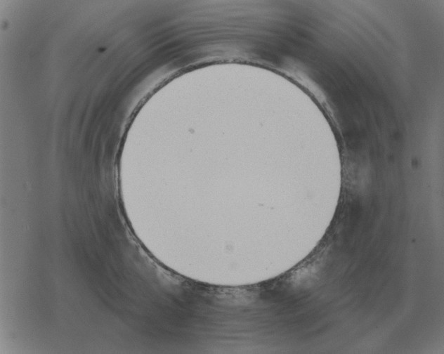 X0000078290807200612011807