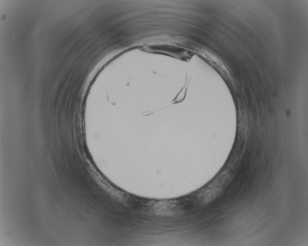 X0000078290808200612011807