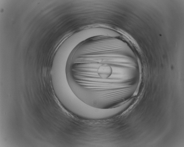 X0000078290809200612011807