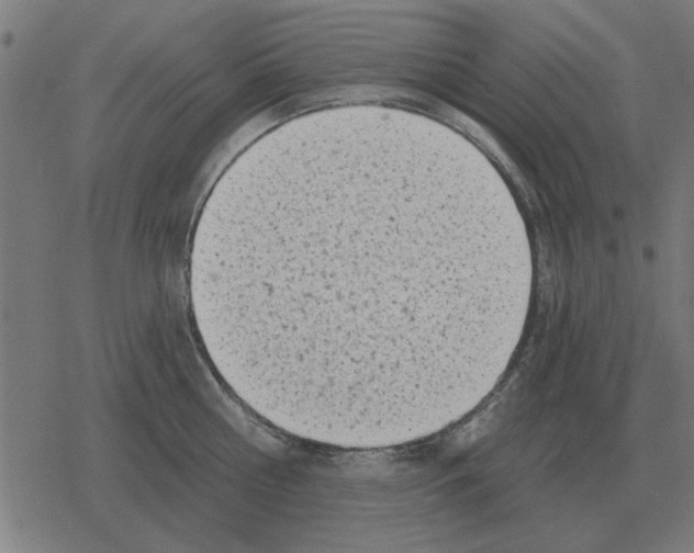 X0000078290810200612011807