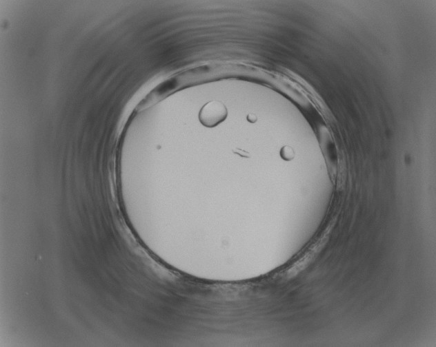 X0000078290812200612011807