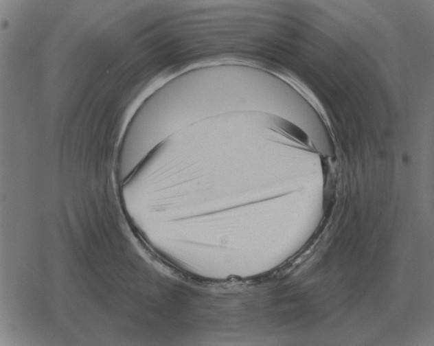 X0000078290813200612011807