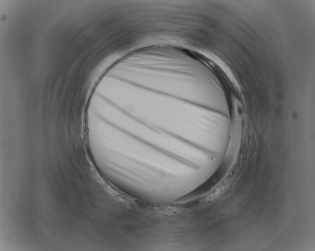 X0000078290815200612011807