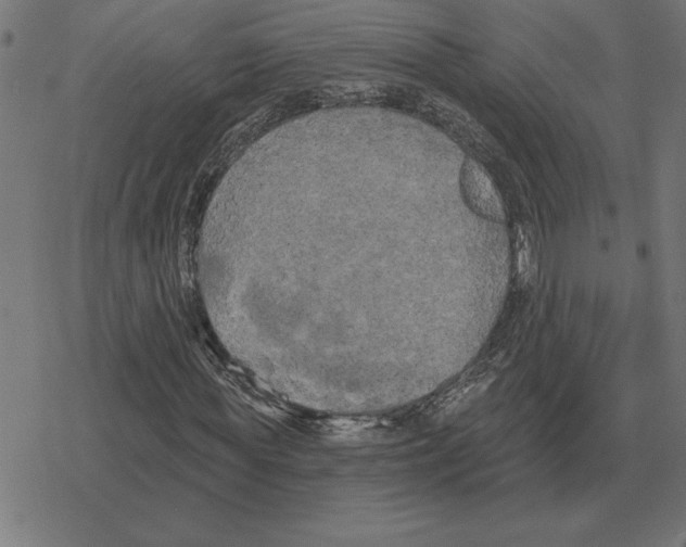 X0000078290819200612011807