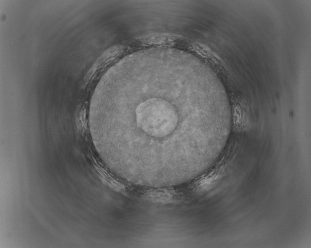 X0000078290820200612011807