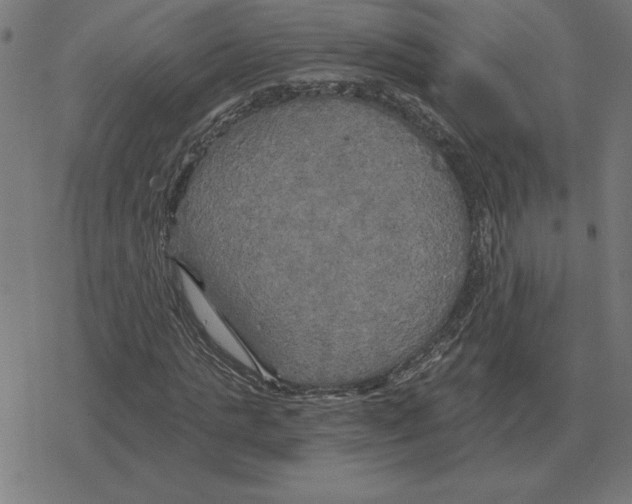 X0000078290821200612011807