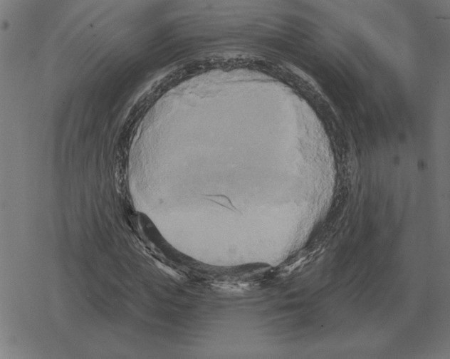 X0000078290823200612011807