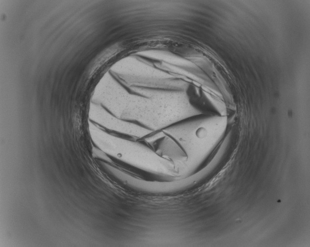 X0000078290826200612011807