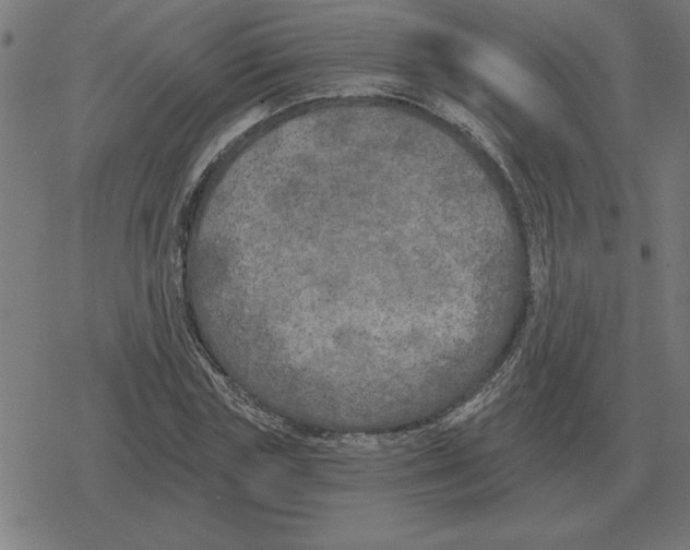 X0000078290827200612011807