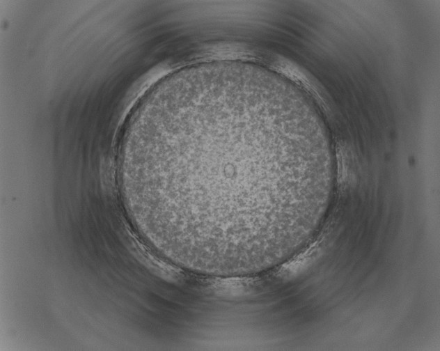 X0000078290828200612011807