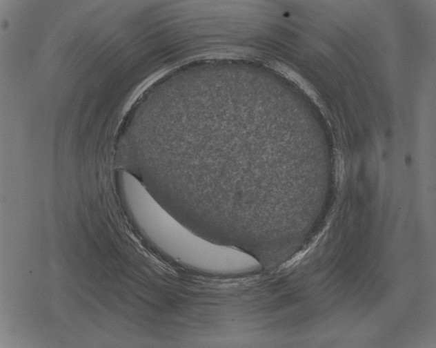 X0000078290829200612011807