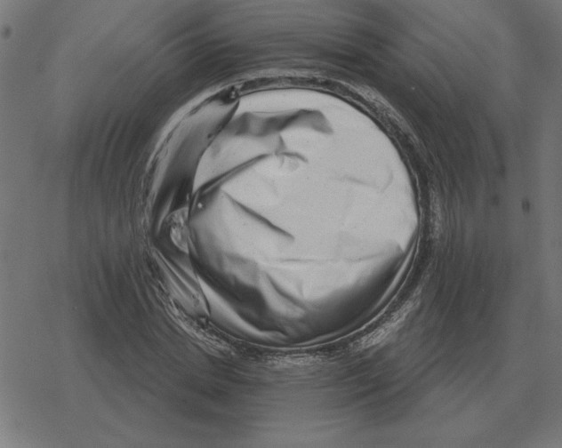 X0000078290830200612011807