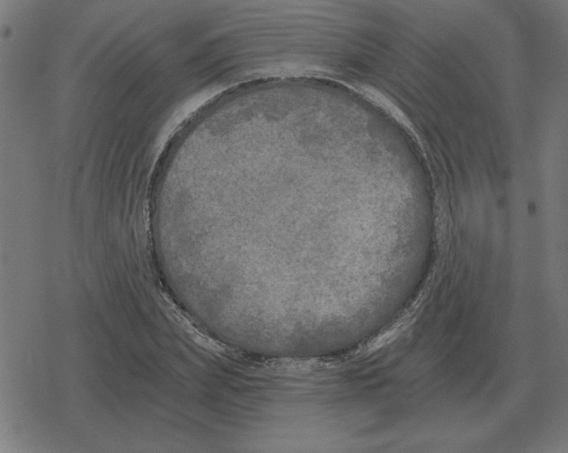 X0000078290831200612011807