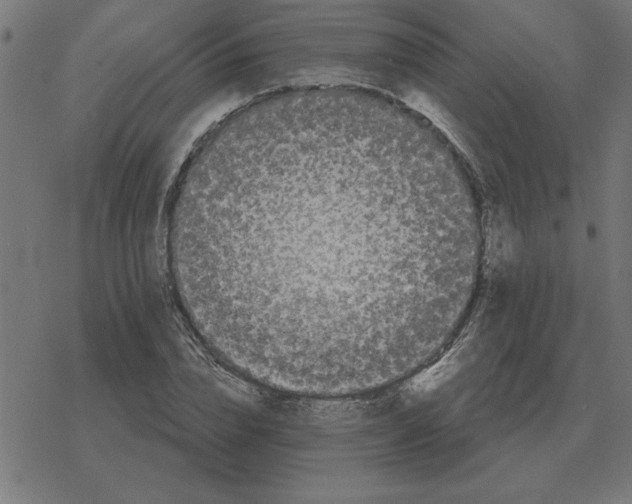 X0000078290832200612011807