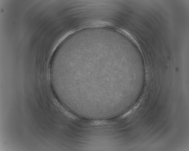 X0000078290835200612011807