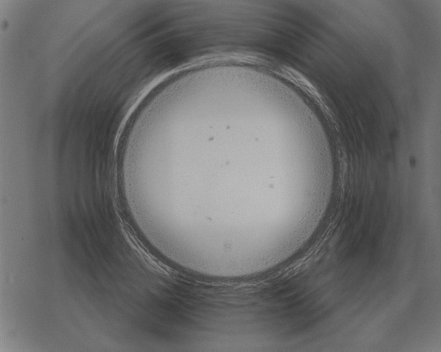 X0000078290836200612011807