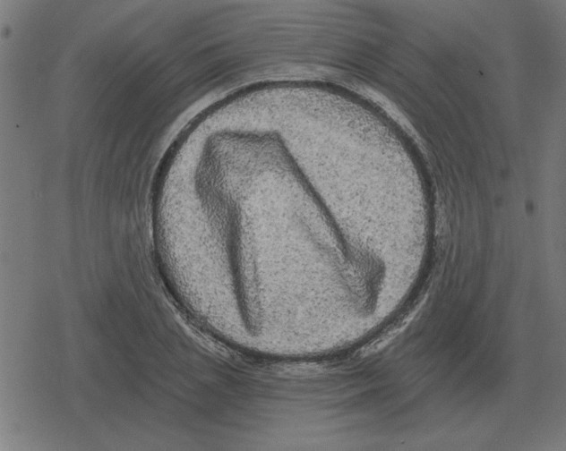 X0000078290837200612011807