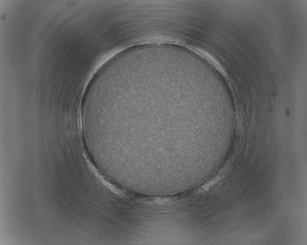 X0000078290839200612011807