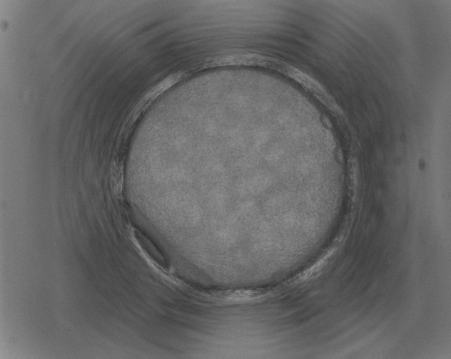 X0000078290841200612011807