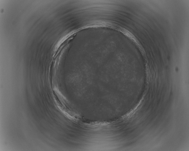 X0000078290842200612011807