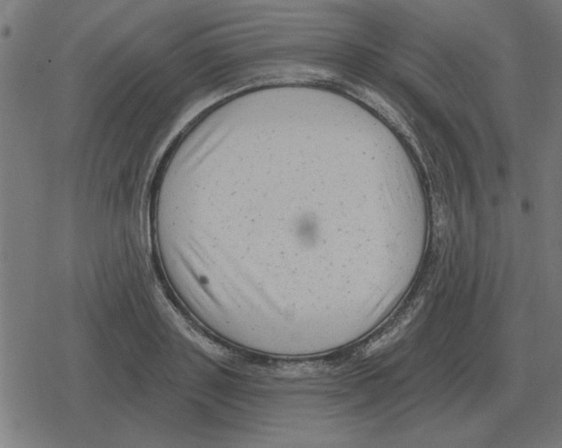 X0000078290843200612011807