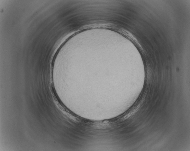 X0000078290844200612011807