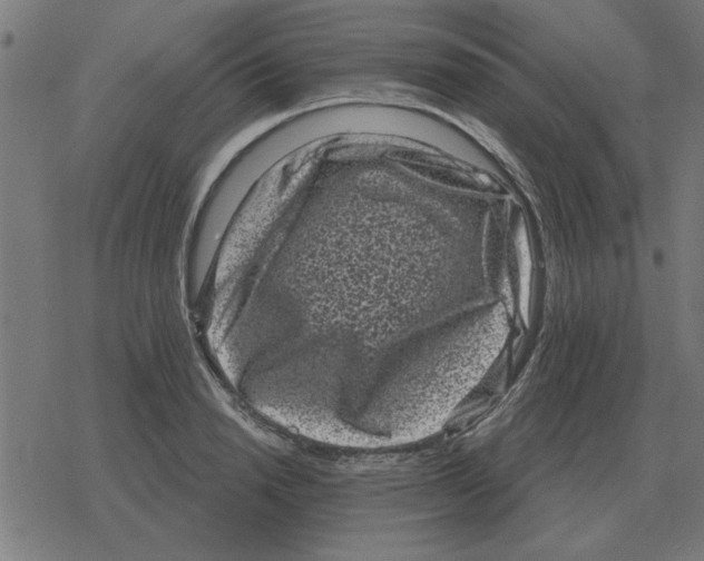 X0000078290846200612011807