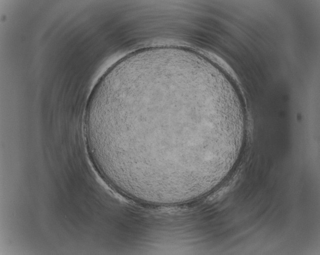 X0000078290847200612011807