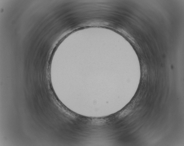 X0000078290848200612011807