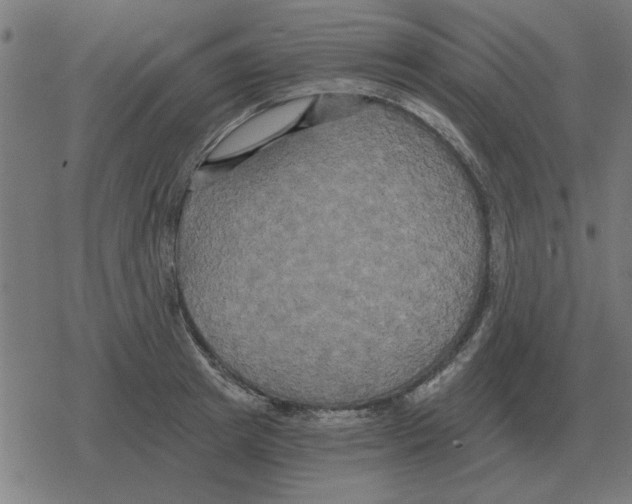 X0000078290849200612011807