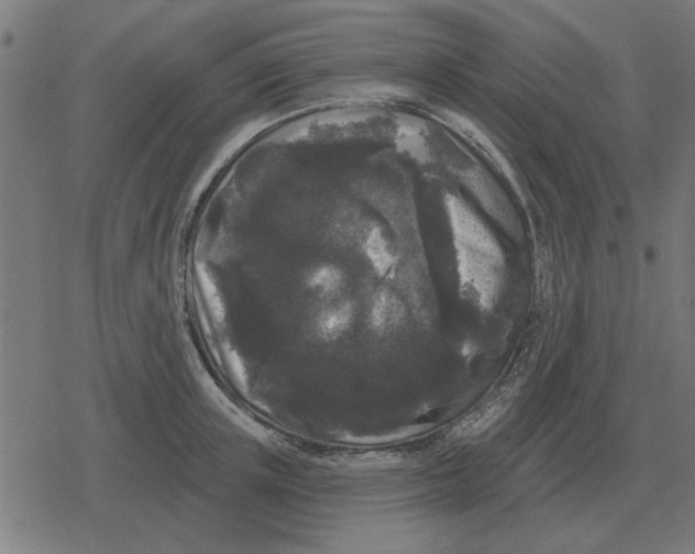 X0000078290851200612011807