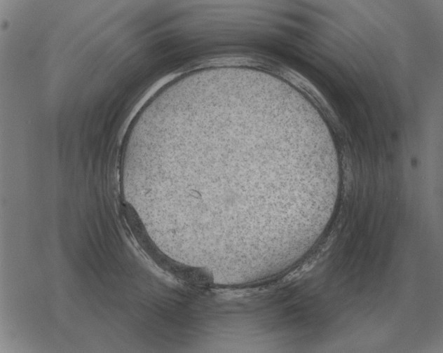 X0000078290852200612011807